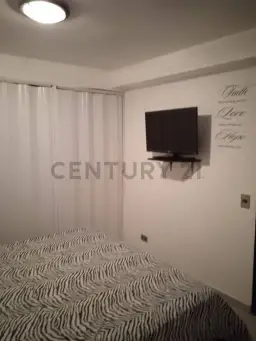 Vista 11