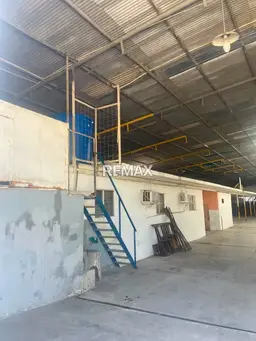 Vista 1