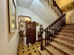 Vista 5