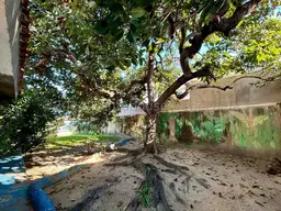 Vista 59