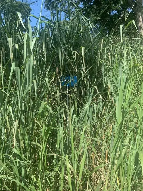 En venta parcela en Safari Carabobo