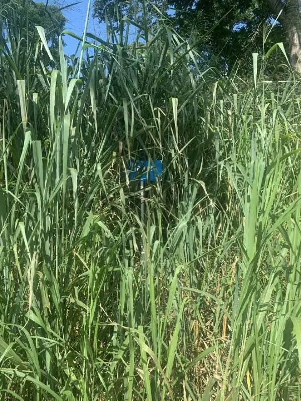 En venta parcela en Safari Carabobo