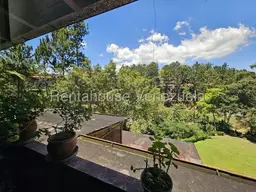 View 24