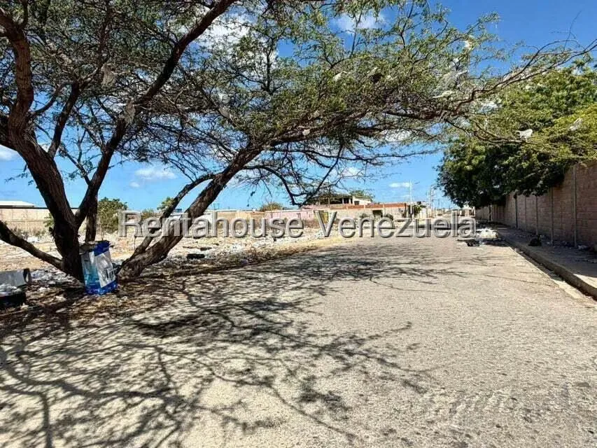 Terreno (Comercial) en Venta en Bella Vista, Falcon - 8