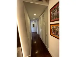 Vista 25