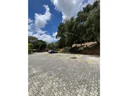 Vista 39
