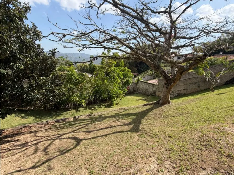 Vendo casa 600m2 Oripoto 6008 - 12