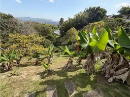 View 14