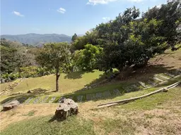 View 19