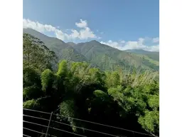 View 18
