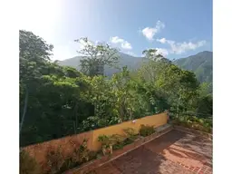 View 6