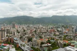 Vista 19