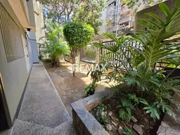 Vista 19
