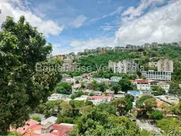 Vista 40