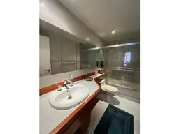 Vista 15