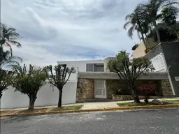 Vista 19