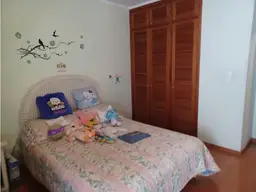 Vista 19