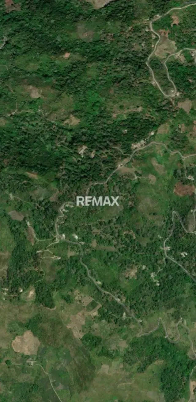 En Venta Terreno Agrícola de 200 Hectáreas – Río Claro, Estado Lara - 5