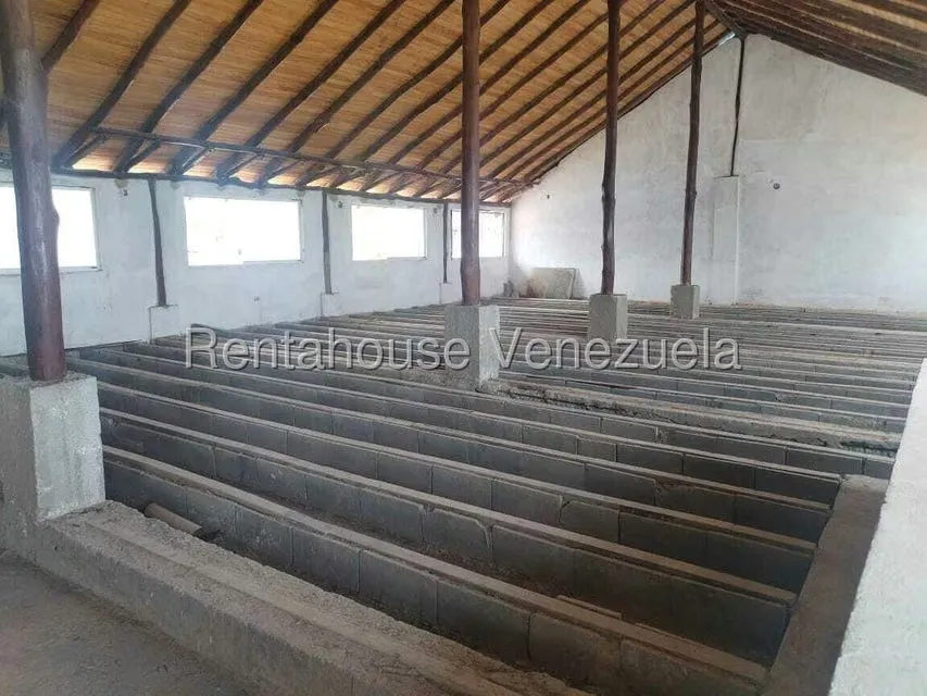 Comercial (Posada) en Venta en Playa Sur, Falcon - 102
