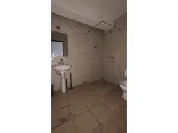 Vista 5