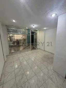 Vista 5