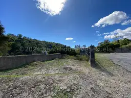 Vista 14