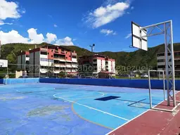 Vista 29