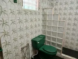 Vista 18