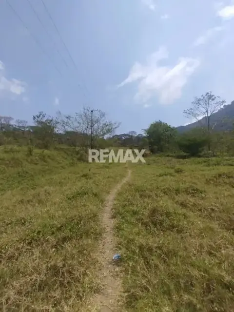 Terreno. Venta. Palmira