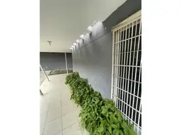Vista 4