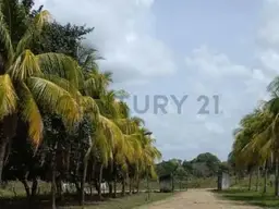 Vista 1