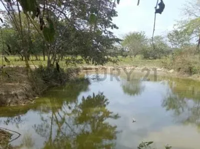 EN VENTA FINCA AGROPECUARIA CON RECURSOS HÍDRICOS SAN CARLOS COJEDES - 2