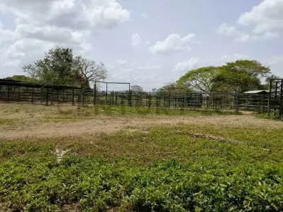 EN VENTA FINCA AGROPECUARIA CON RECURSOS HÍDRICOS SAN CARLOS COJEDES - 3