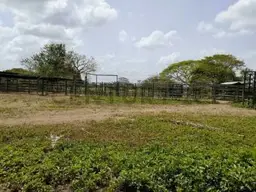 Vista 3