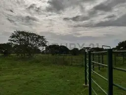 Vista 4