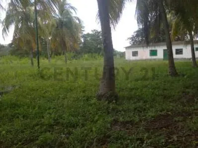 EN VENTA FINCA AGROPECUARIA CON RECURSOS HÍDRICOS SAN CARLOS COJEDES - 5