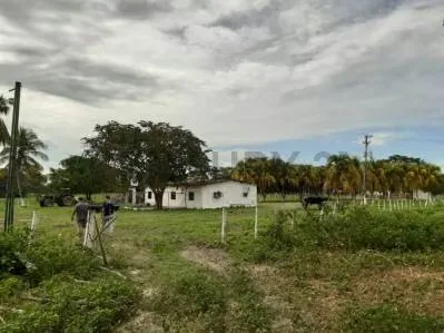 EN VENTA FINCA AGROPECUARIA CON RECURSOS HÍDRICOS SAN CARLOS COJEDES - 6