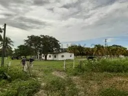 Vista 6