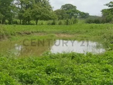 EN VENTA FINCA AGROPECUARIA CON RECURSOS HÍDRICOS SAN CARLOS COJEDES - 8