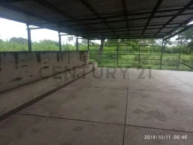EN VENTA FINCA AGROPECUARIA CON RECURSOS HÍDRICOS SAN CARLOS COJEDES - 9