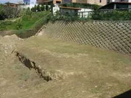 Vista 1