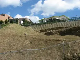Vista 11