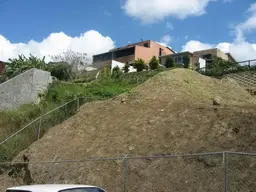 Vista 12