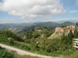 Vista 15