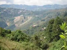 Vista 16
