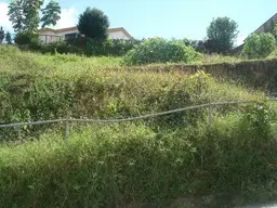 Vista 17