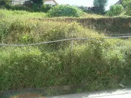 Vista 18