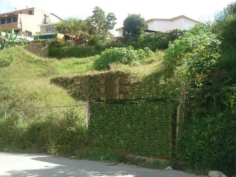 Terreno (Residencial) en Venta en Altos de Carimao, Distrito Metropolitano - 20