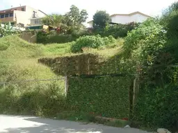 Vista 20