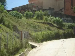 Vista 21
